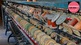 Parmeshwari Silk Mills Ltd to invest in Harappa Textile Mills Pvt Ltd